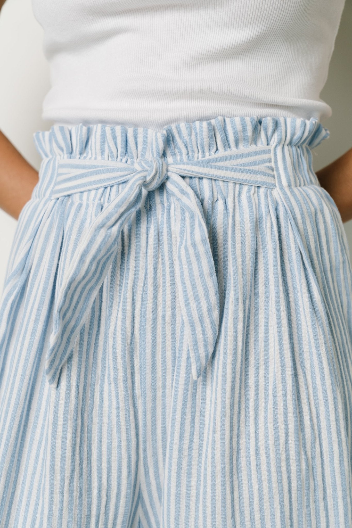 Delphi Wide Leg Pants | Blue Stripe